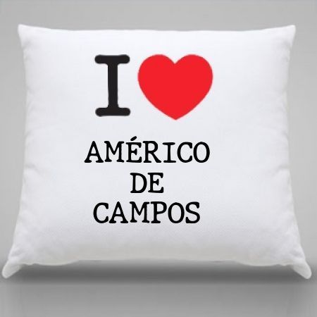 Almofada Americo de campos