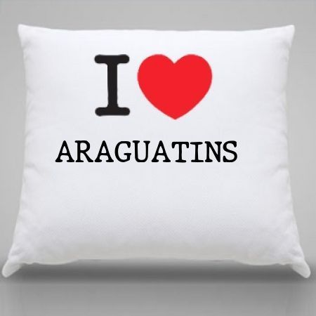 Almofada Araguatins