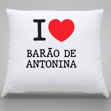 Almofada Barao de antonina