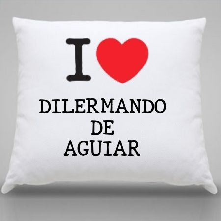 Almofada Dilermando de aguiar