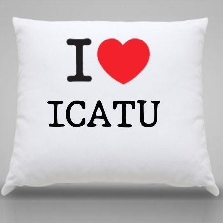 Almofada Icatu