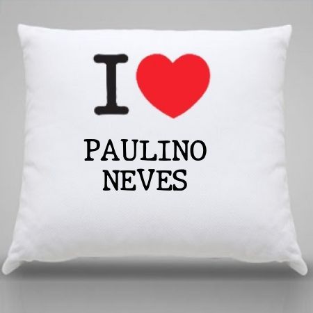 Almofada Paulino neves