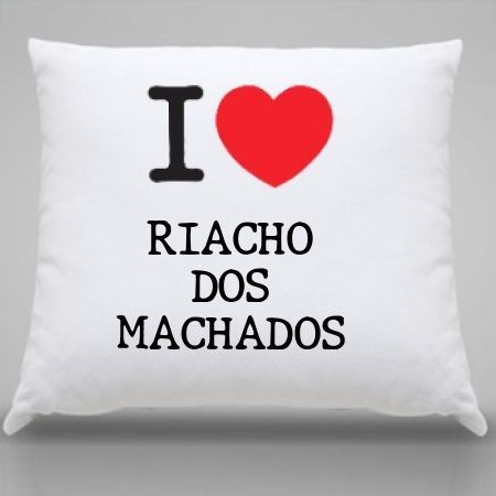 Almofada Riacho dos machados