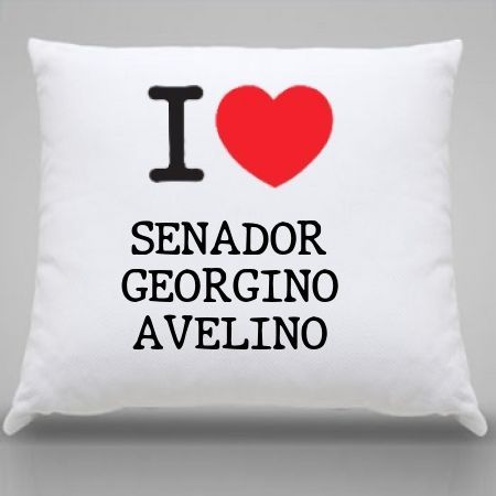 Almofada Senador georgino avelino