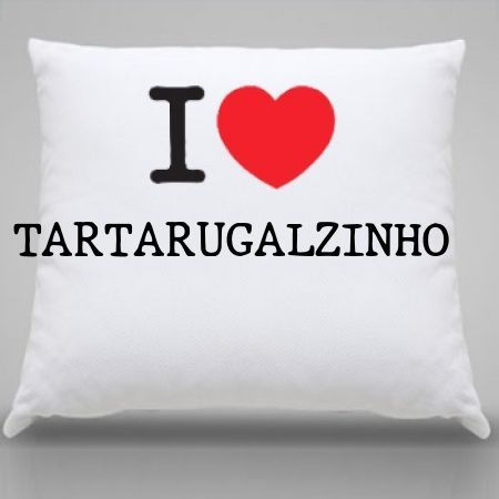 Almofada Tartarugalzinho